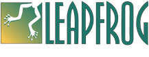 Leapfrog Services