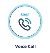 Voice Call Authentication