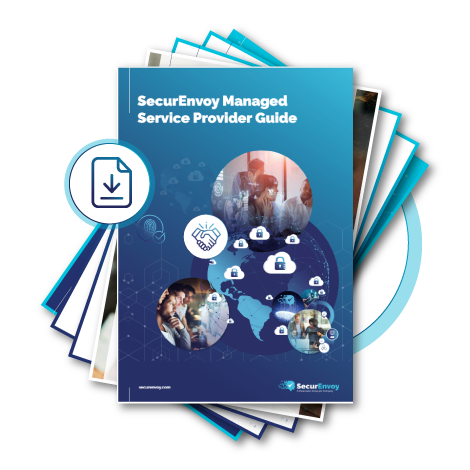 MSP Access Management Guide